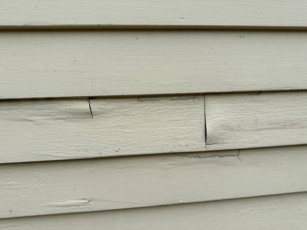 Best Storm Damage Siding Repair  in Loveland, OH